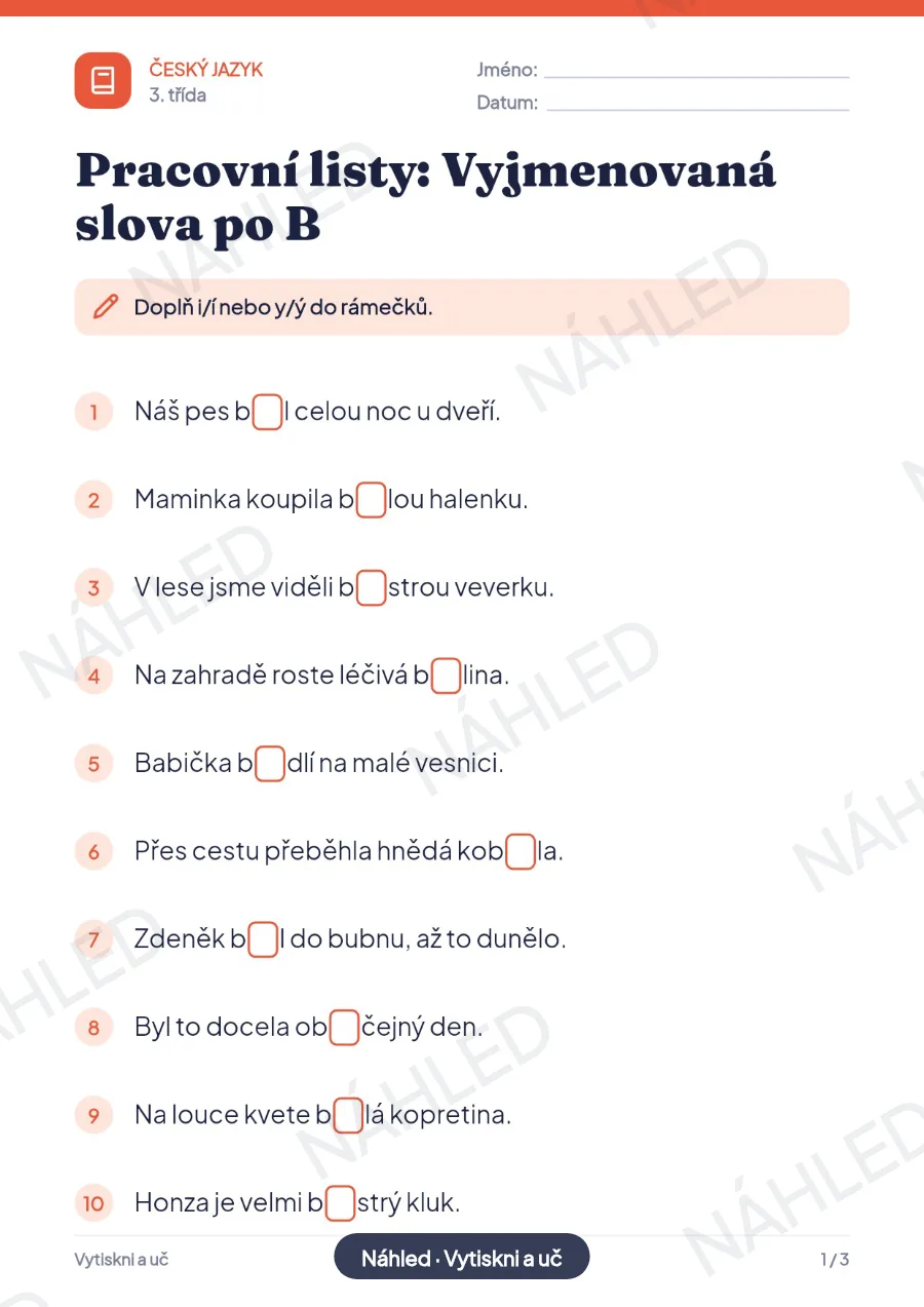 Náhled první strany